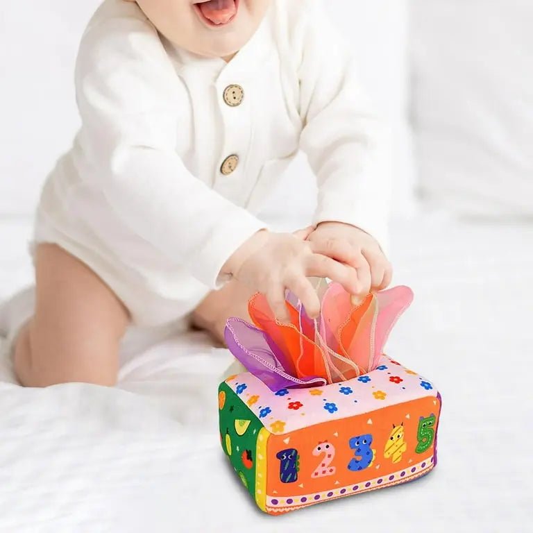 Pull Along Tissue Box Toy For Toddlers (Random Design)